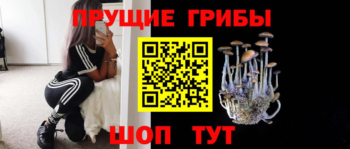Тихвин  Псилоцибиновые грибы прущие грибы  Вход с VPN  Псилоцибиновые грибы прущие грибы 